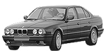 BMW E34 P205E Fault Code